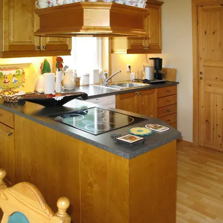 Holiday Nedtunet - Fjs622 By Interhome Hébergement de vacances